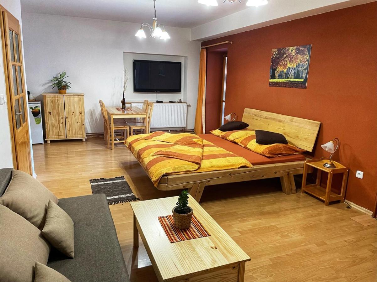 Pension U Kohoutu Horní Planá 外观 照片